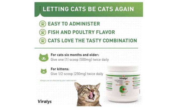 Vetoquinol L-lysine Powder for Cats - Image 5