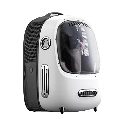 How To Be A Digital Nomad With A Cat, Tips From a Nomadic Veterinarian